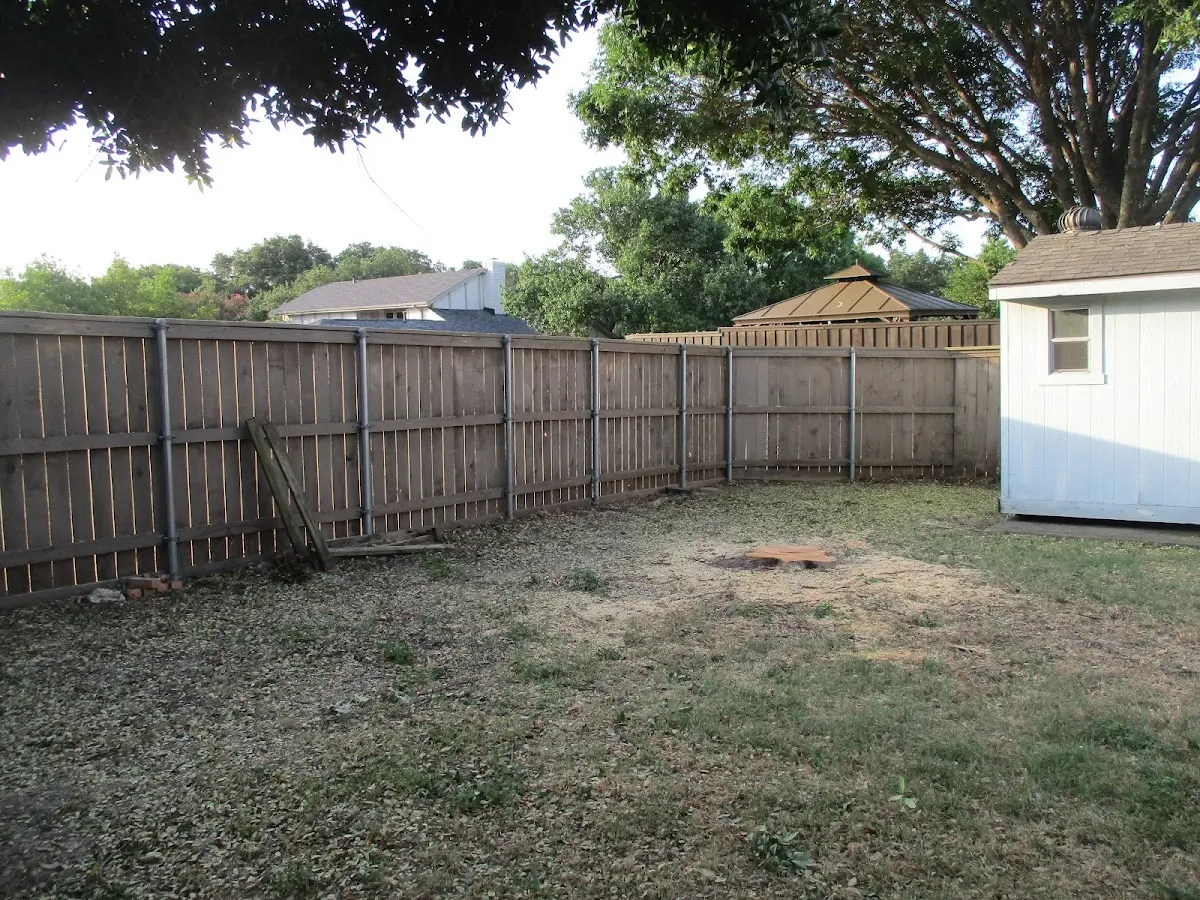 Cleared yard after professional tree removal in Mackville
